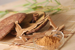 ganoderma